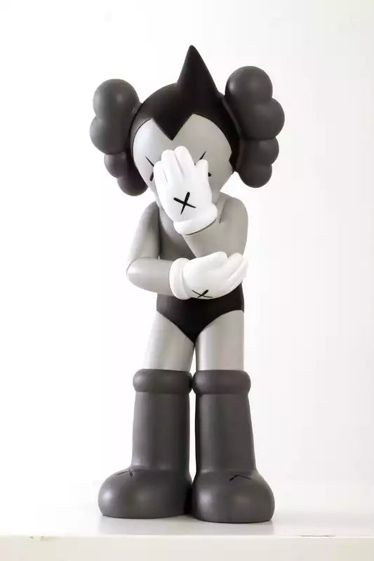 Kaws Vinyl Figures: Van Kaws Original tot BFF, Astro Boy, Storm Trooper en Meer – Voeg Iconische Kunst Toe aan Je Interieur!